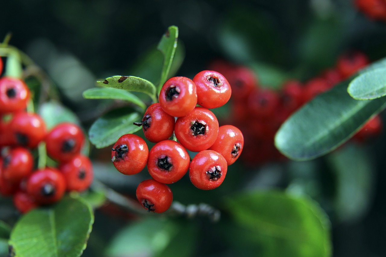 果不如预期 果不如预期