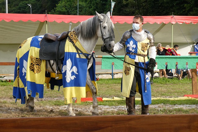 而获得的晋 而获得的晋